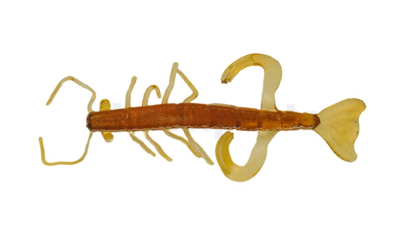 Shrimp 3" (ca. 8,0 cm)