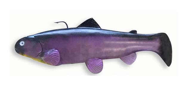10" (25 cm)