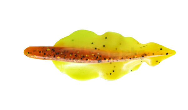 Wing Shad
