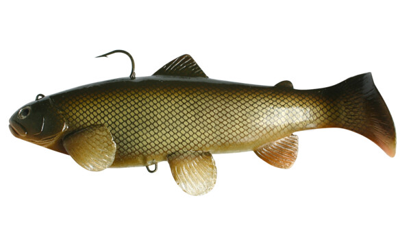 SBT10C Castaic-Swim-Bait-Trout-10cm sinking Carp
