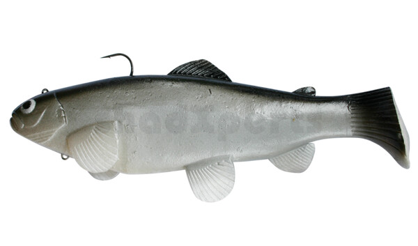 SBT20CI Castaic-Swim-Bait-Trout - 8" (20cm) sinking im Hartschalenblister CISCO