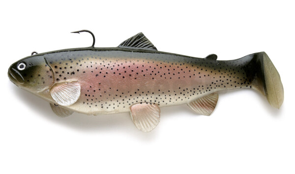 SBT20RT Castaic-Swim-Bait-Trout - 8" (20cm) sinking im Hartschalenblister Rainbow Trout