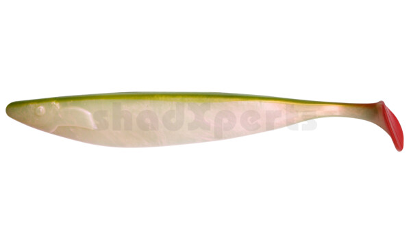 000430016 Megalodon 12" (ca. 30,0 cm) perl / grün