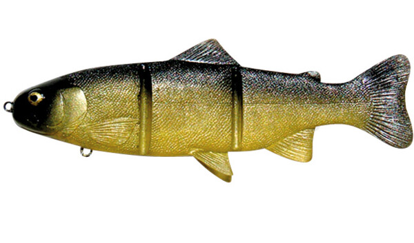 PL20GS Castaic-Platinum 20,5 cm - Golden Shiner fast sinking