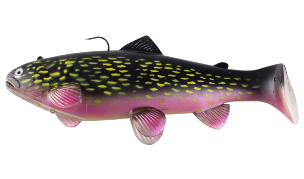 SBT25EP Castaic-Swim-Bait-Trout-25cm sinking European Pike