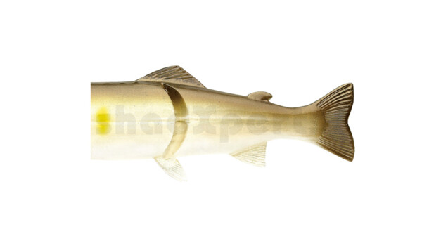 CS20E-A Replacement Body for Castaic-Real-Bait - 8" (20cm) AYU