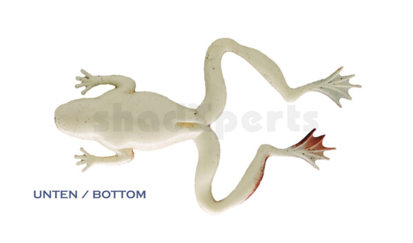 NF-02 Nature Frog 5" (ca. 11,5 cm) belly: white, back: redbrown-black stripes