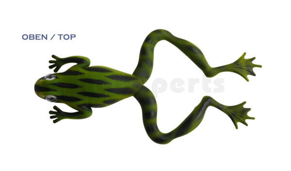NF-01 Nature Frog 5" (ca. 11,5 cm) Bauch:perlweiss,Rücken:dunkelgrün-schwarz gestreift