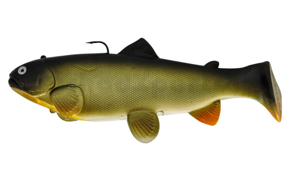 SBT25C Castaic-Swim-Bait-Trout-25cm sinking Carp