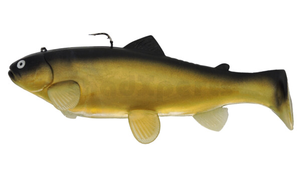SBT10GS Castaic-Swim-Bait-Trout-10cm sinking Golden Shiner