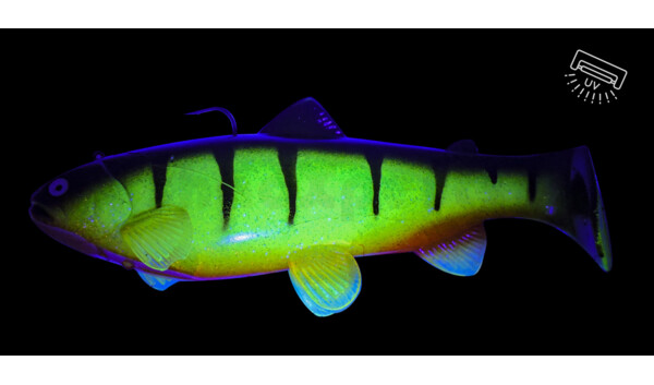 SBT25RPO Castaic-Swim-Bait-Trout - 10" (25cm) sinking Reno Perch Orange