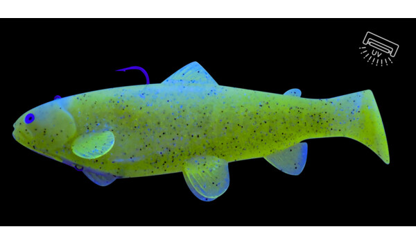 SBT2566 Castaic-Swim-Bait-Trout-25cm sinking chartreuse pepper glitter