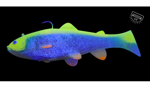 SBT25GFS Castaic-Swim-Bait-Trout-25cm sinking Ghost Fire Shiner