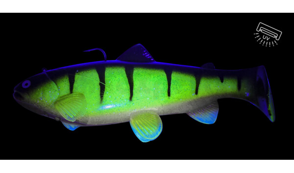 SBT25RPW Castaic-Swim-Bait-Trout - 10" (25cm) sinking Reno Perch White