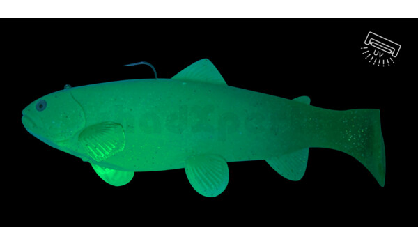SBT25GMOC Castaic-Swim-Bait-Trout - 10" (25cm) sinking im Hartschalenblister Motoroil Classic