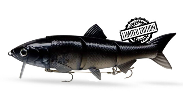HYRO25NG RenkyOne - Hybrid Fishing Lure 10" (ca. 25 cm) slow sinking Night Ghost