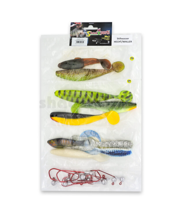 0006003 ShadXperts target fish set stillwater pike/catfish - ca. 9 shads/8 jigs