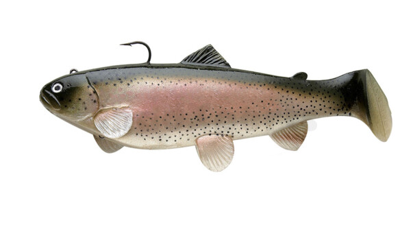 SBT25RT Castaic-Swim-Bait-Trout - 10" (25cm) sinking im Hartschalenblister Rainbow Trout
