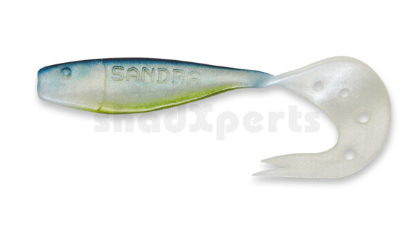 006019011 Sandra 2,5" (ca. 7 cm) pearl white / blue