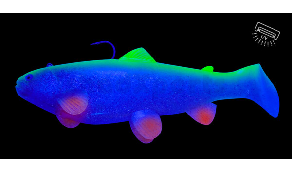SBT25GFS Castaic-Swim-Bait-Trout - 10" (25cm) sinking im Hartschalenblister Ghost Fire Shiner