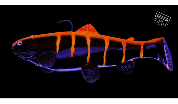 SBT25BO Castaic-Swim-Bait-Trout - 10" (25cm) sinking im Hartschalenblister Black Orange