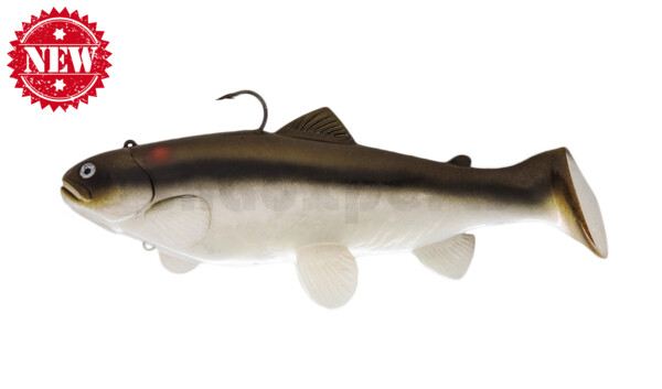 SBT25RTC Castaic-Swim-Bait-Trout - 10" (25cm) sinking im Hartschalenblister Red Tail Chub
