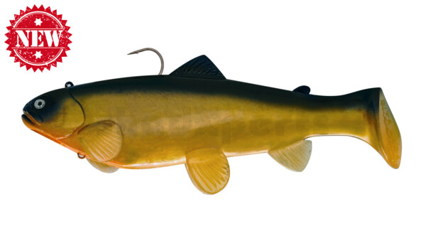 SBT25GS Castaic-Swim-Bait-Trout - 10" (25cm) sinking im Hartschalenblister Golden Shiner