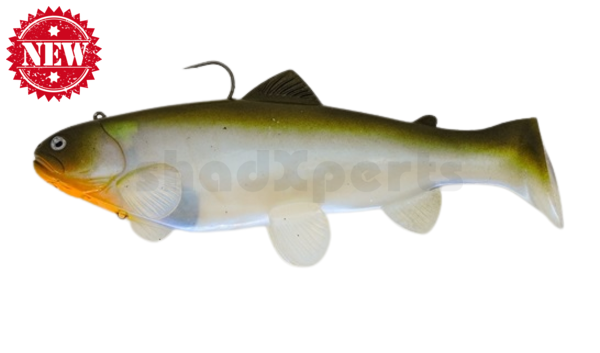 SBT25BGBA Castaic-Swim-Bait-Trout - 10" (25cm) sinking im Hartschalenblister Blue Gill Brown Amber