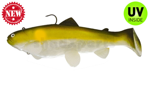 SBT25A Castaic-Swim-Bait-Trout - 10" (25cm) sinking im Hartschalenblister AYU