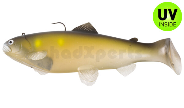 SBT20GA Castaic-Swim-Bait-Trout - 8" (20cm) sinking im Hartschalenblister Ghost Ayu