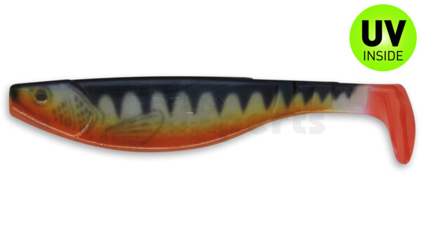 000216-019ZORT Kopyto-River 6" (ca. 16,0 cm) blauperl / Zander / Bauch: orange / Red Tail