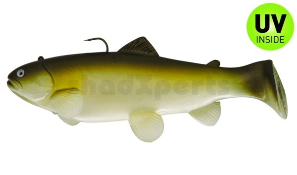SBT25GA Castaic-Swim-Bait-Trout-25cm sinking Ghost AYU