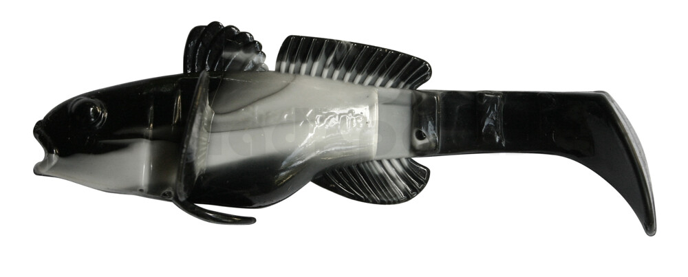 003210B016 SX Bullhead 3,5" (10,5cm) (SCHWARZMEERGRUNDEL) reinweiss/schwarz