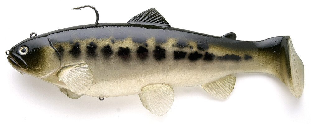 SBT10BB Castaic-Swim-Bait-Trout - 4" (10cm) sinking im Hartschalenblister Baby-Bass