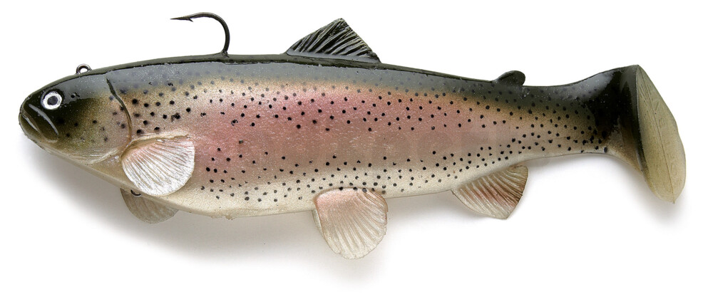 SBT10RT Castaic-Swim-Bait-Trout - 4" (10cm) sinking im Hartschalenblister Rainbow-Trout