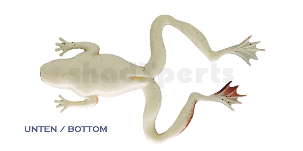 NF-02 Nature Frog 5" (ca. 11,5 cm) Bauch:perlweiss,Rücken:rotbraun-schwarz gestreift