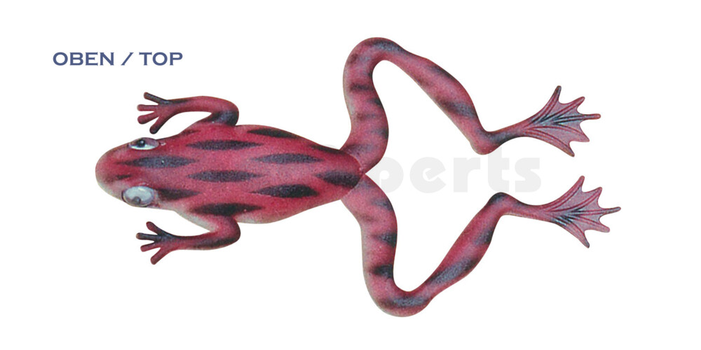 NF-02 Nature Frog 5" (ca. 11,5 cm) Bauch:perlweiss,Rücken:rotbraun-schwarz gestreift