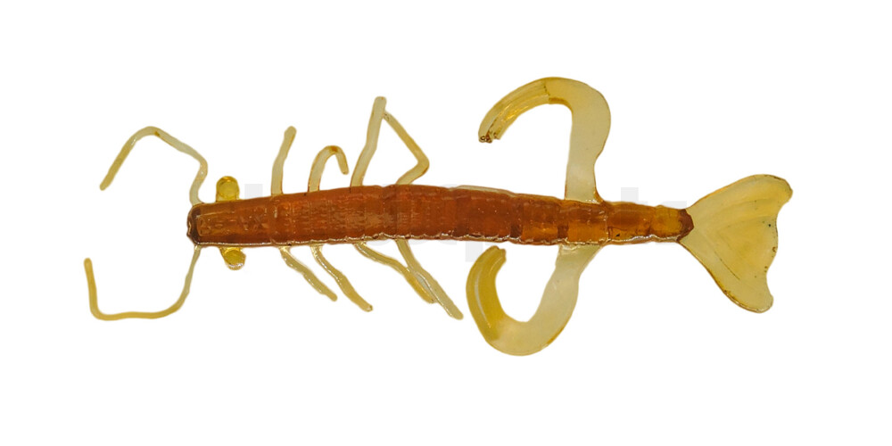 002208219 Shrimp 3" (ca. 8,0 cm) bernstein