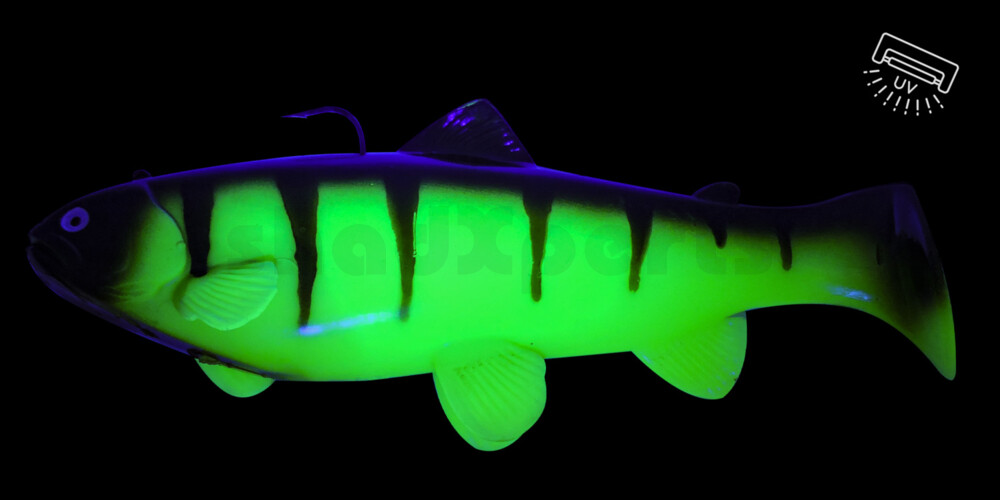 SBT15CH Castaic-Swim-Bait-Trout-15cm sinking Chartreuse SBT15CH Castaic-Swim-Bait-Trout-15cm sinking Chartreuse