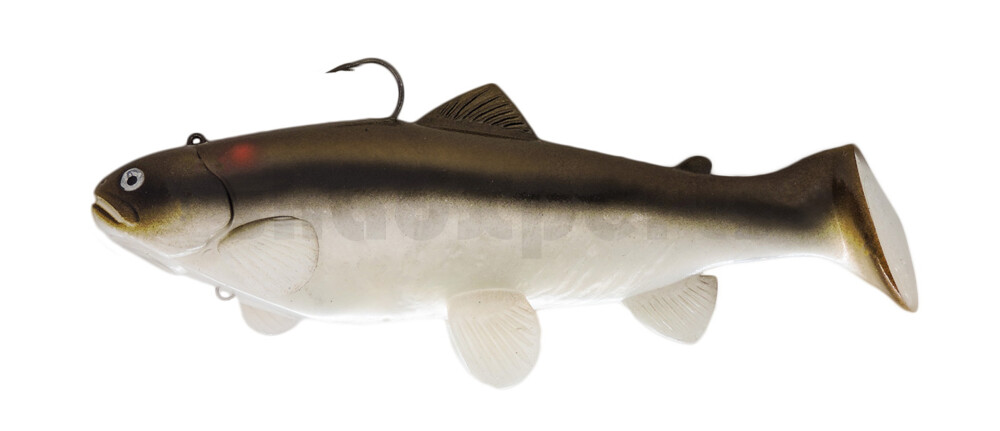 SBT25RTC Castaic Swim Bait Trout 2.0 - 10" (25cm) Fast sinking Red Tail Chub SBT25RTC Castaic Swim Bait Trout 2.0 - 10" (25cm) Fast sinking Red Tail Chub