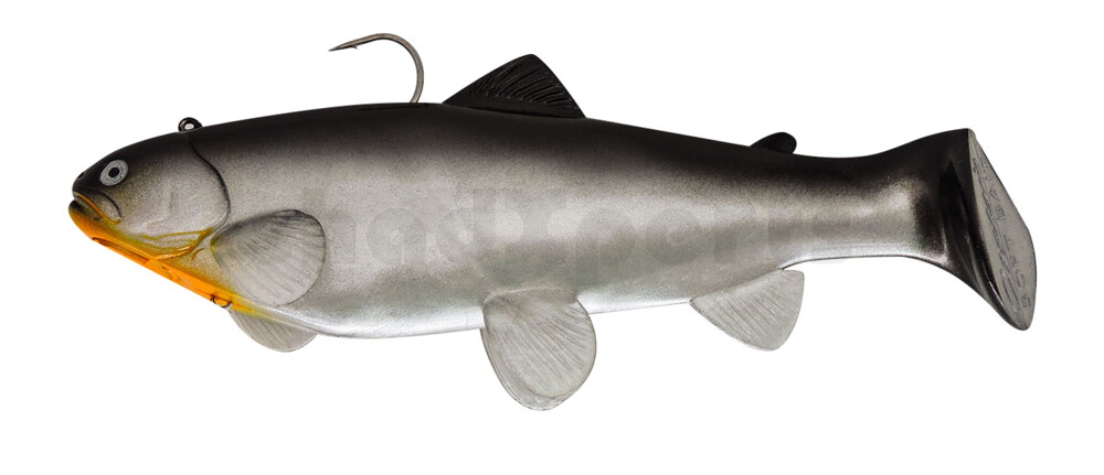 SBT25CI Castaic Swim Bait Trout 2.0 - 10" (25cm) Fast sinking CISCO SBT25CI Castaic Swim Bait Trout 2.0 - 10" (25cm) Fast sinking CISCO