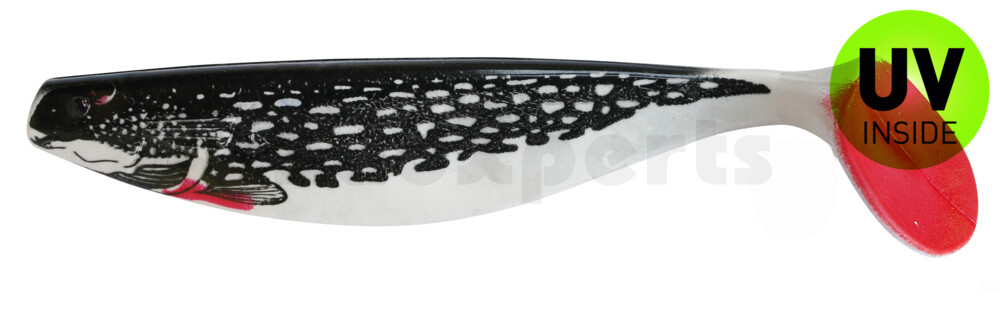 000416-001PIBRT Xtra-Soft-Nature 6" (ca. 16,0 cm) reinweiss / Hecht (schwarz) / red tail