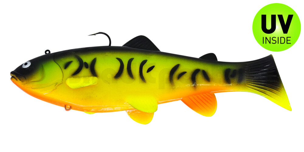 SBT10FT Castaic-Swim-Bait-Trout - 4" (10cm) sinking im Hartschalenblister Firetiger