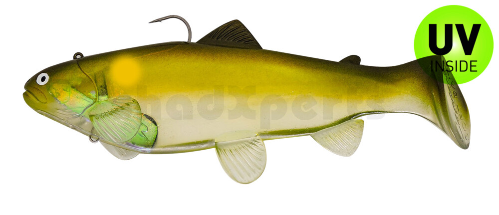 SBT25GA Castaic Swim Bait Trout 2.0 - 10" (25cm) Fast sinking Ghost AYU SBT25GA Castaic Swim Bait Trout 2.0 - 10" (25cm) Fast sinking Ghost AYU